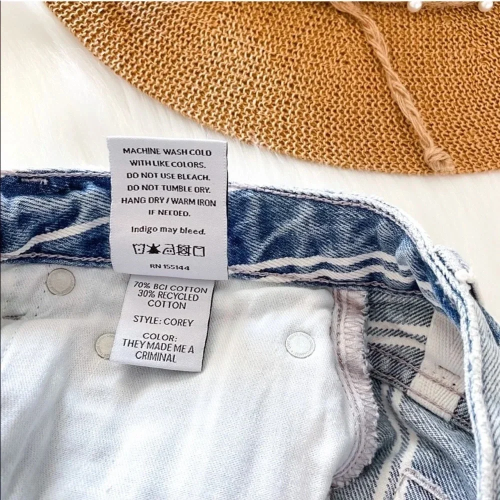 Boyish Denim Mini Skirt Blue Stripe Corey made me criminal Raw Edge High Rise.